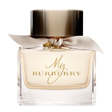 my burberry perfume price in egypt|burberry her perfume 5 oz.